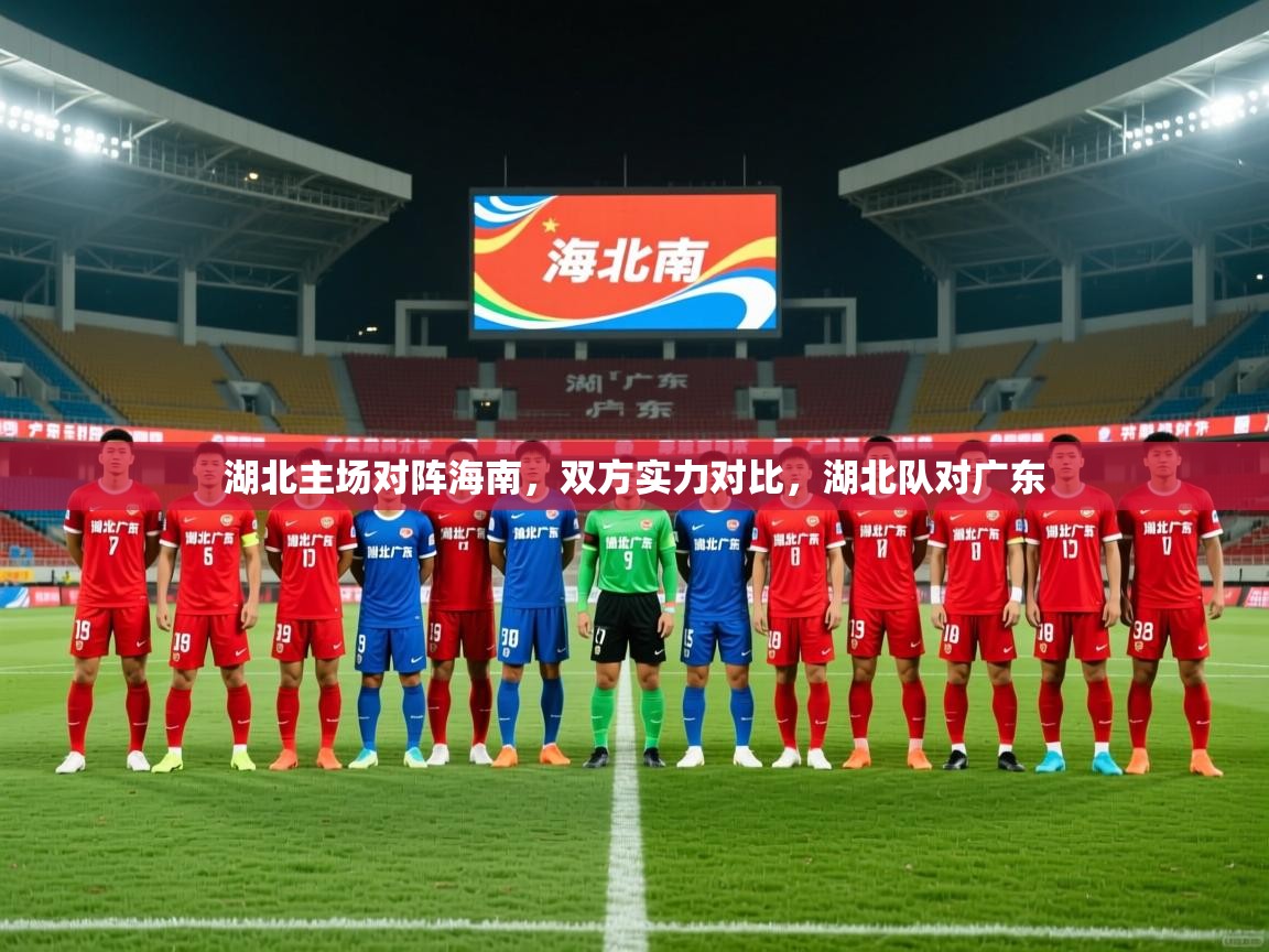 2025完美体育官网湖北主场对阵海南,双方实力对比,湖北队对广东 第1张