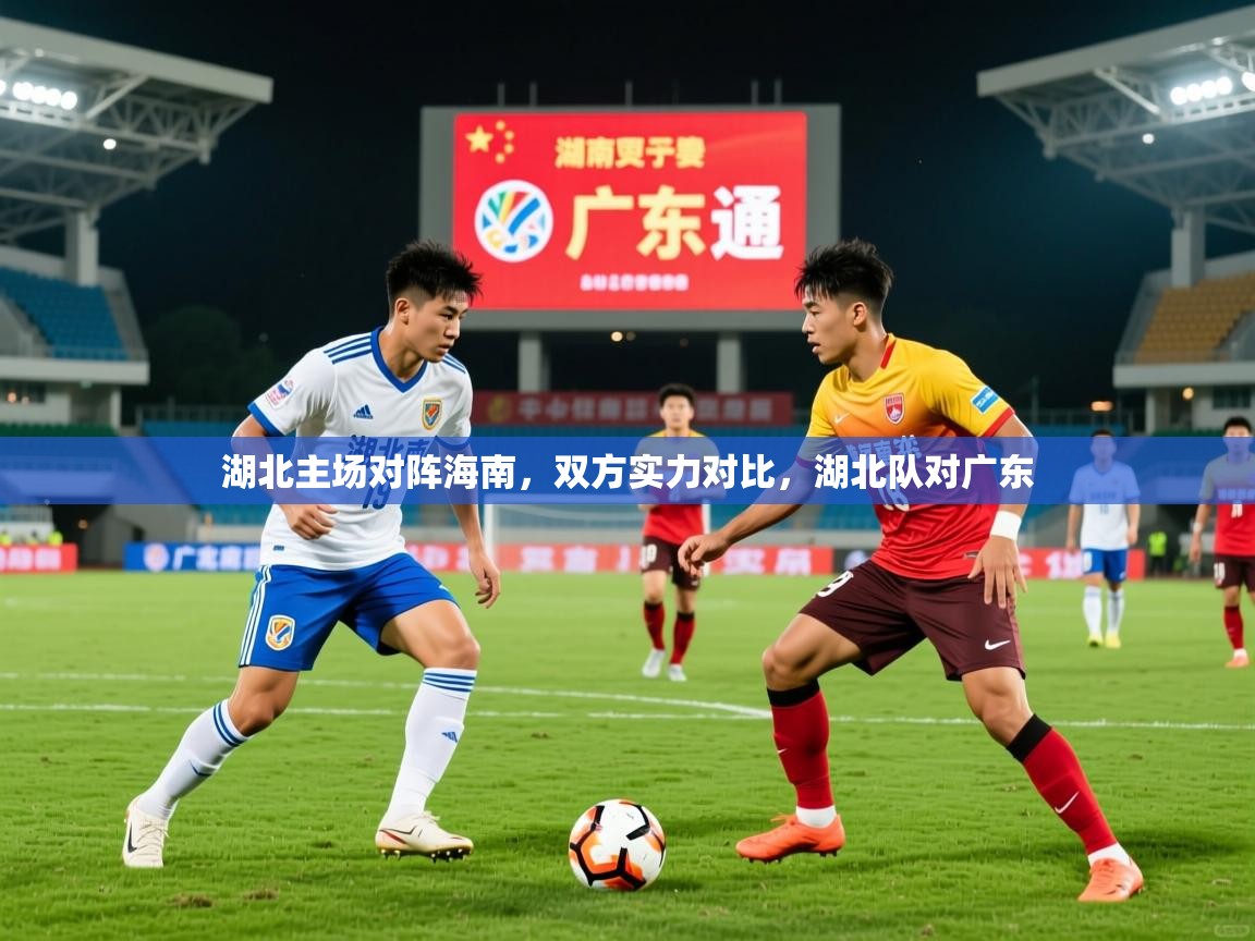 2025完美体育官网湖北主场对阵海南,双方实力对比,湖北队对广东 第4张