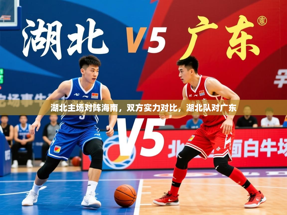 2025完美体育官网湖北主场对阵海南,双方实力对比,湖北队对广东 第3张