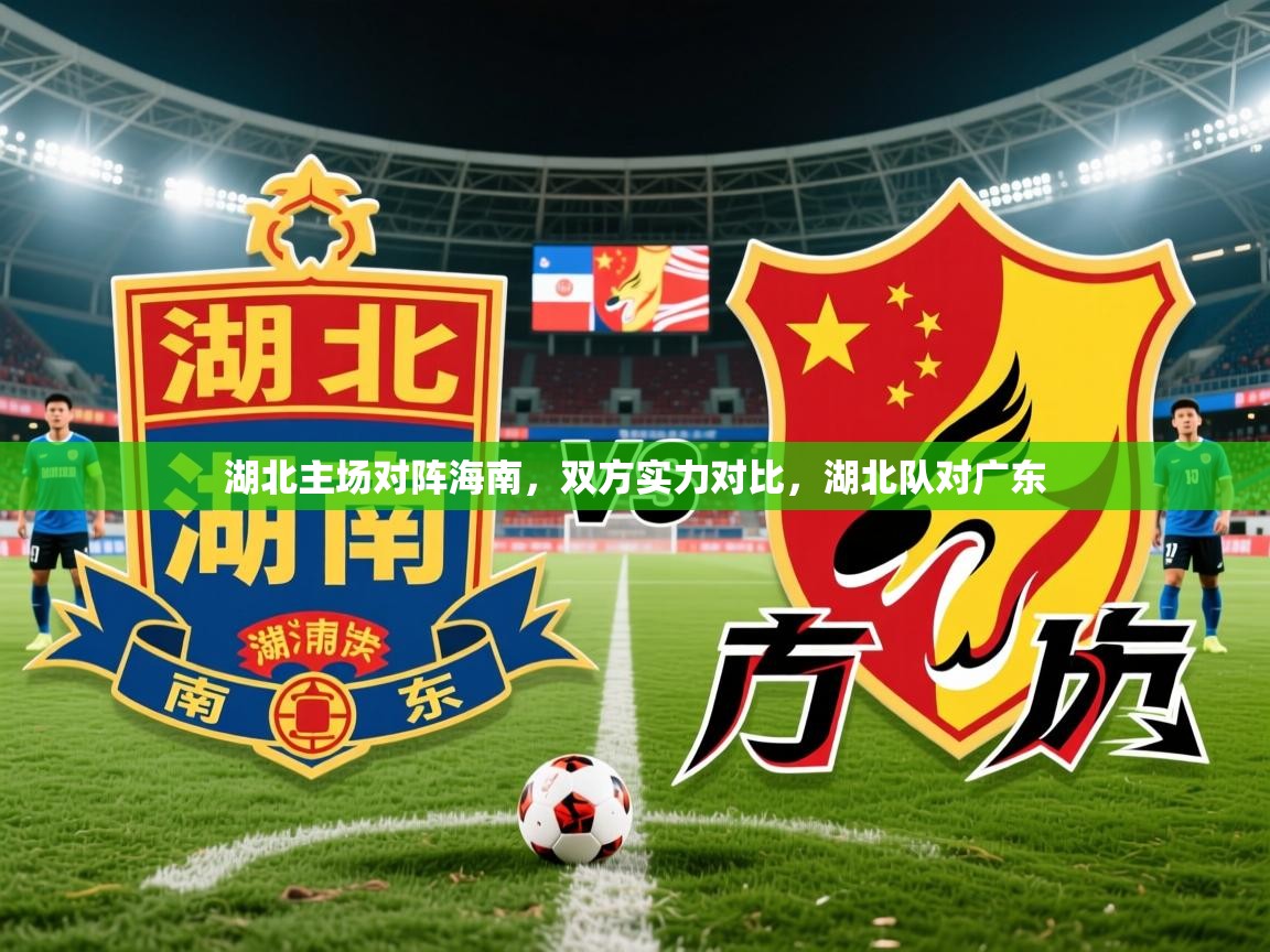 2025完美体育官网湖北主场对阵海南,双方实力对比,湖北队对广东 第2张