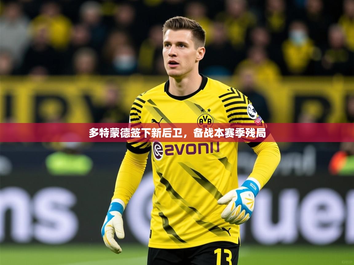 2025完美体育官方体育平台多特蒙德签下新后卫,备战本赛季残局 第1张