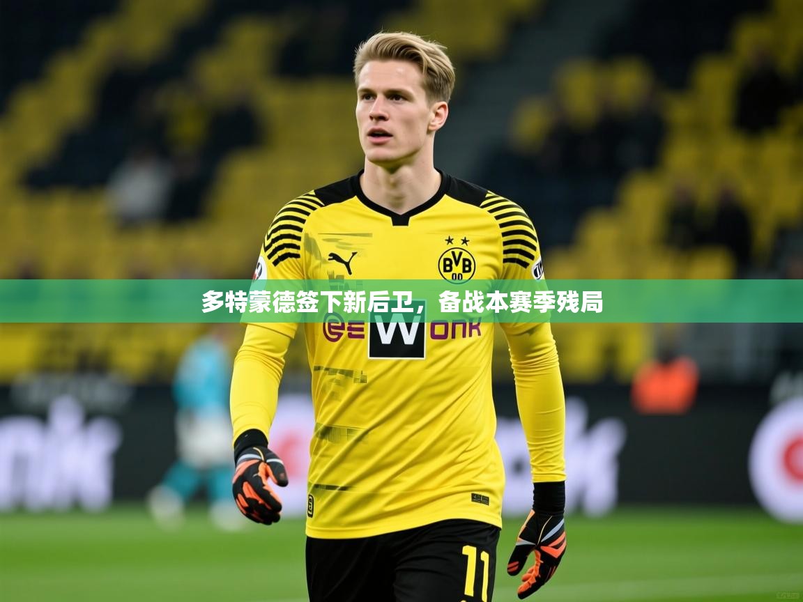 2025完美体育官方体育平台多特蒙德签下新后卫,备战本赛季残局 第2张