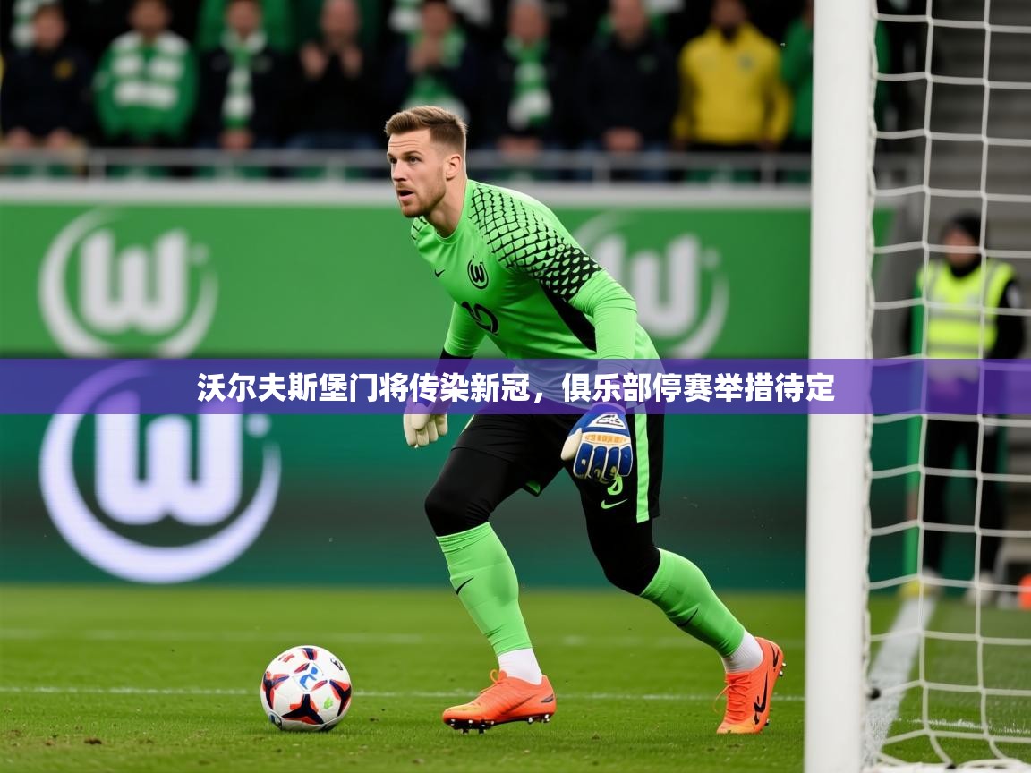 2026完美体育官网沃尔夫斯堡门将传染新冠，俱乐部停赛举措待定  第1张