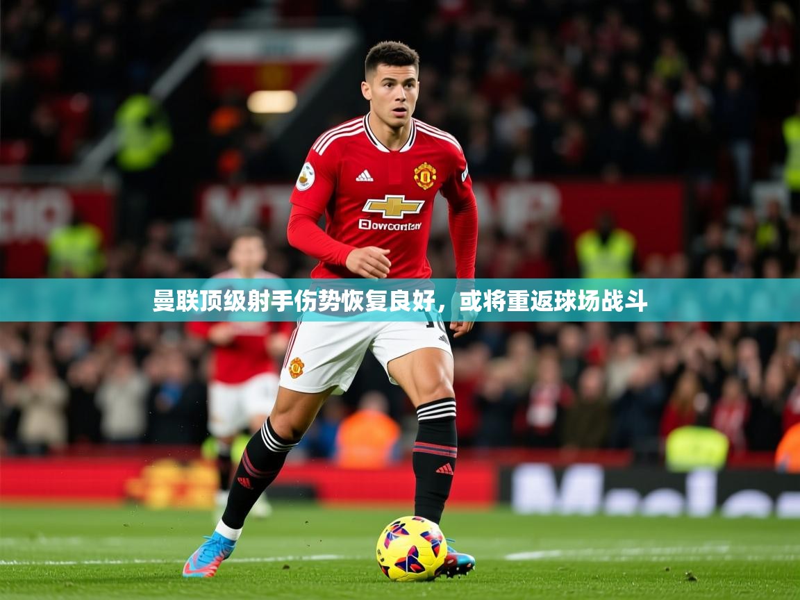 2026完美体育官网曼联顶级射手伤势恢复良好,或将重返球场战斗 第3张