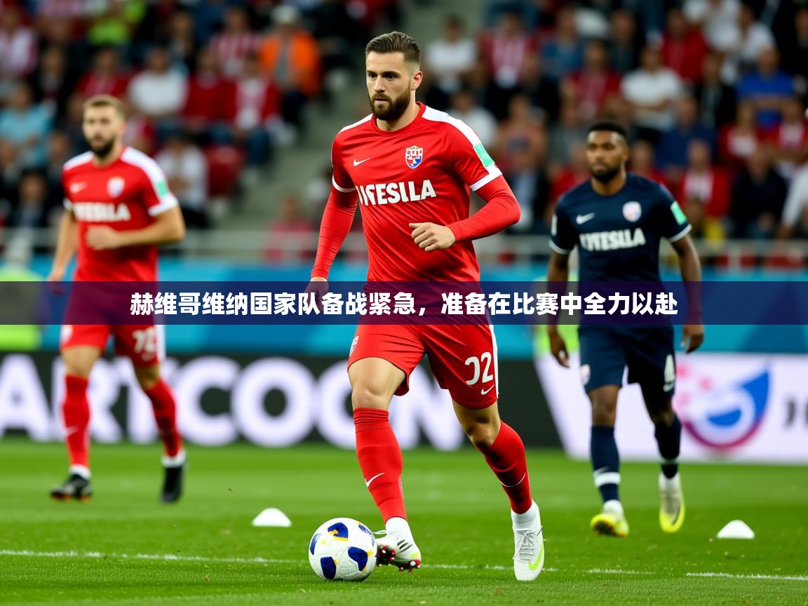 2026完美体育平台赫维哥维纳国家队备战紧急，准备在比赛中全力以赴  第2张