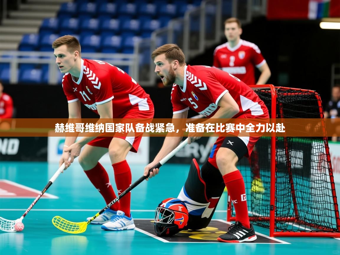 2026完美体育平台赫维哥维纳国家队备战紧急，准备在比赛中全力以赴  第3张