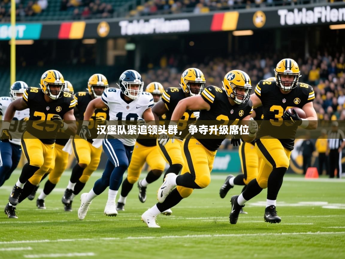 2026完美体育网址汉堡队紧追领头群，争夺升级席位  第4张